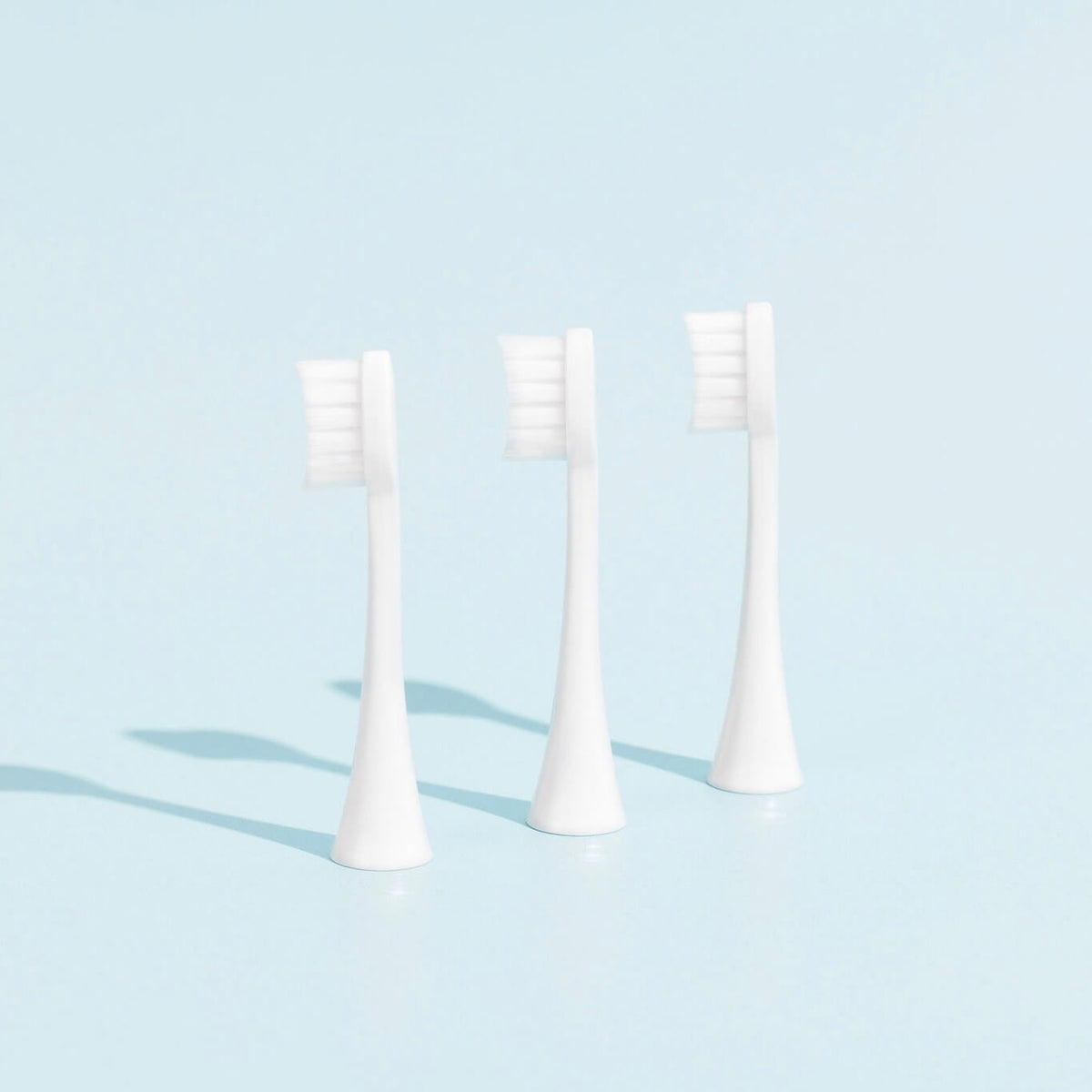 Pack 3 Têtes de Brosse